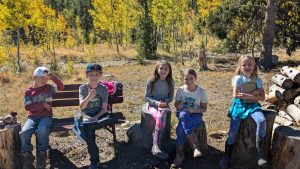 Five children are sitting outdoors on a bench and tree stumps, smiling and laughing, with notebooks in hand. Behind them are trees with yellow autumn leaves and logs stacked on the right. The day is sunny and bright.