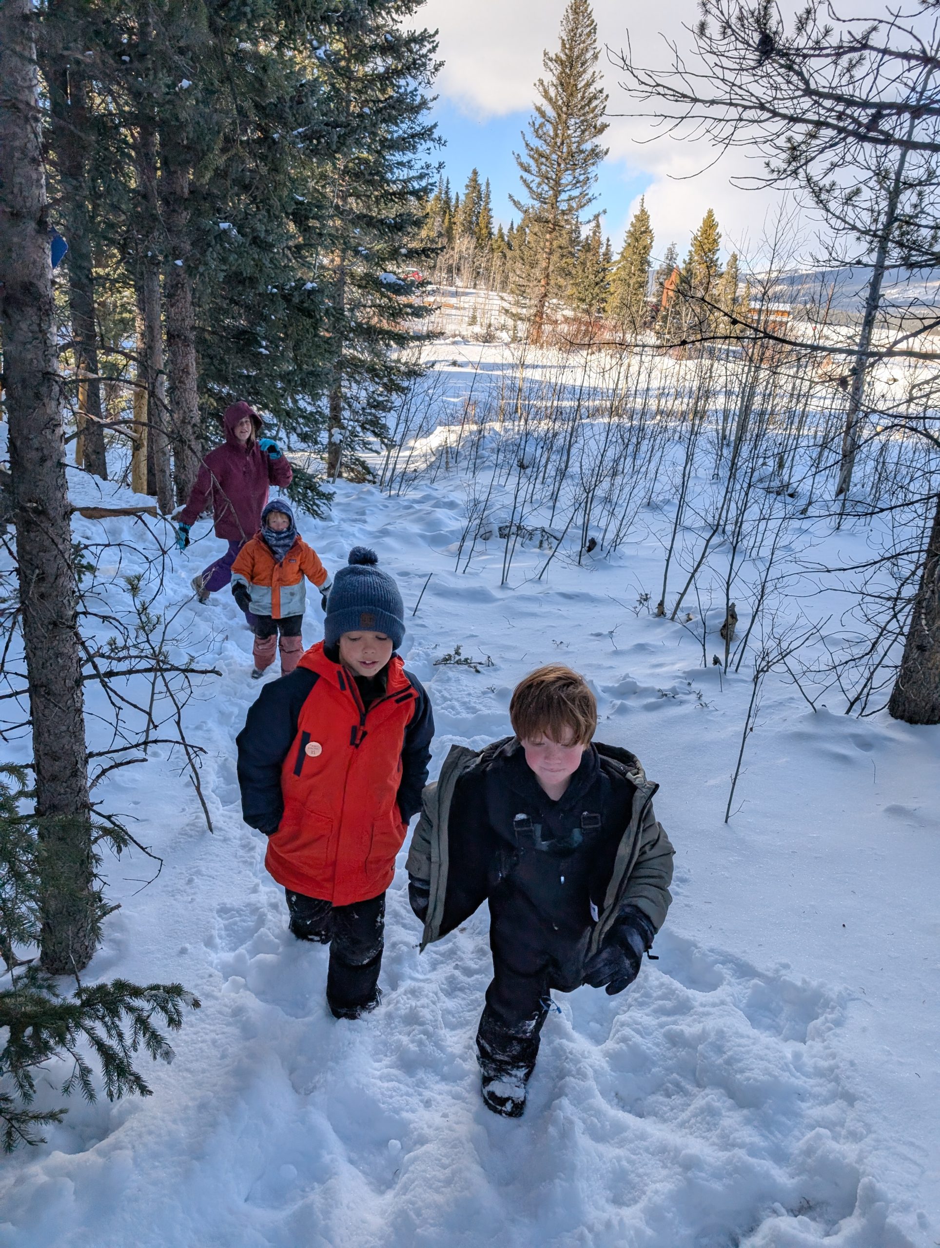 Four children bundled in winter clothes walk through a snowy forest path surrounded by trees. The ground is covered in snow, and a wintry landscape with more trees is visible in the background.